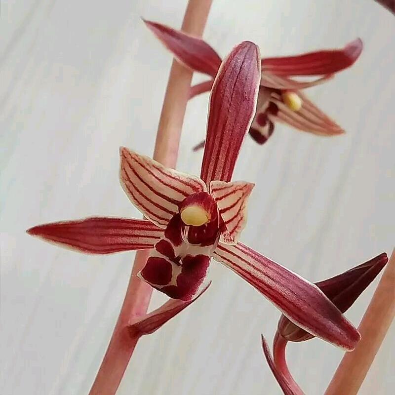静