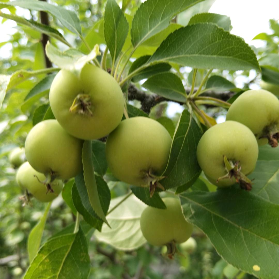 开开心心过每一天