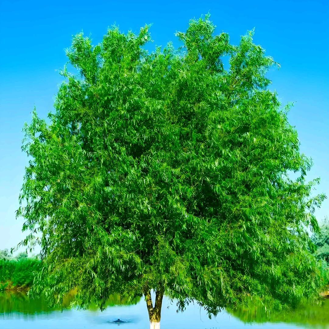 泽益精选好品商贸行