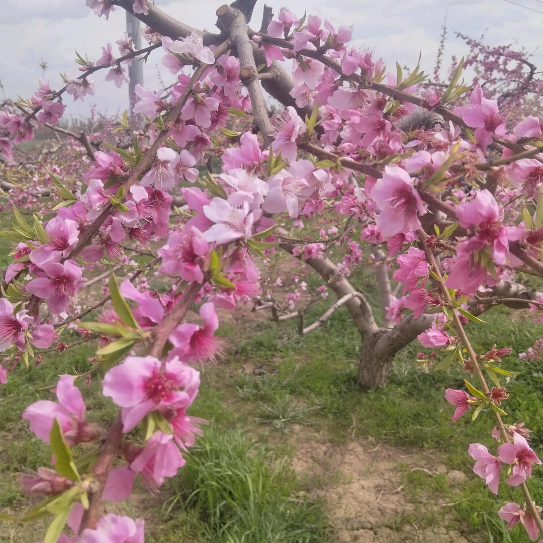 爱在一瞬间