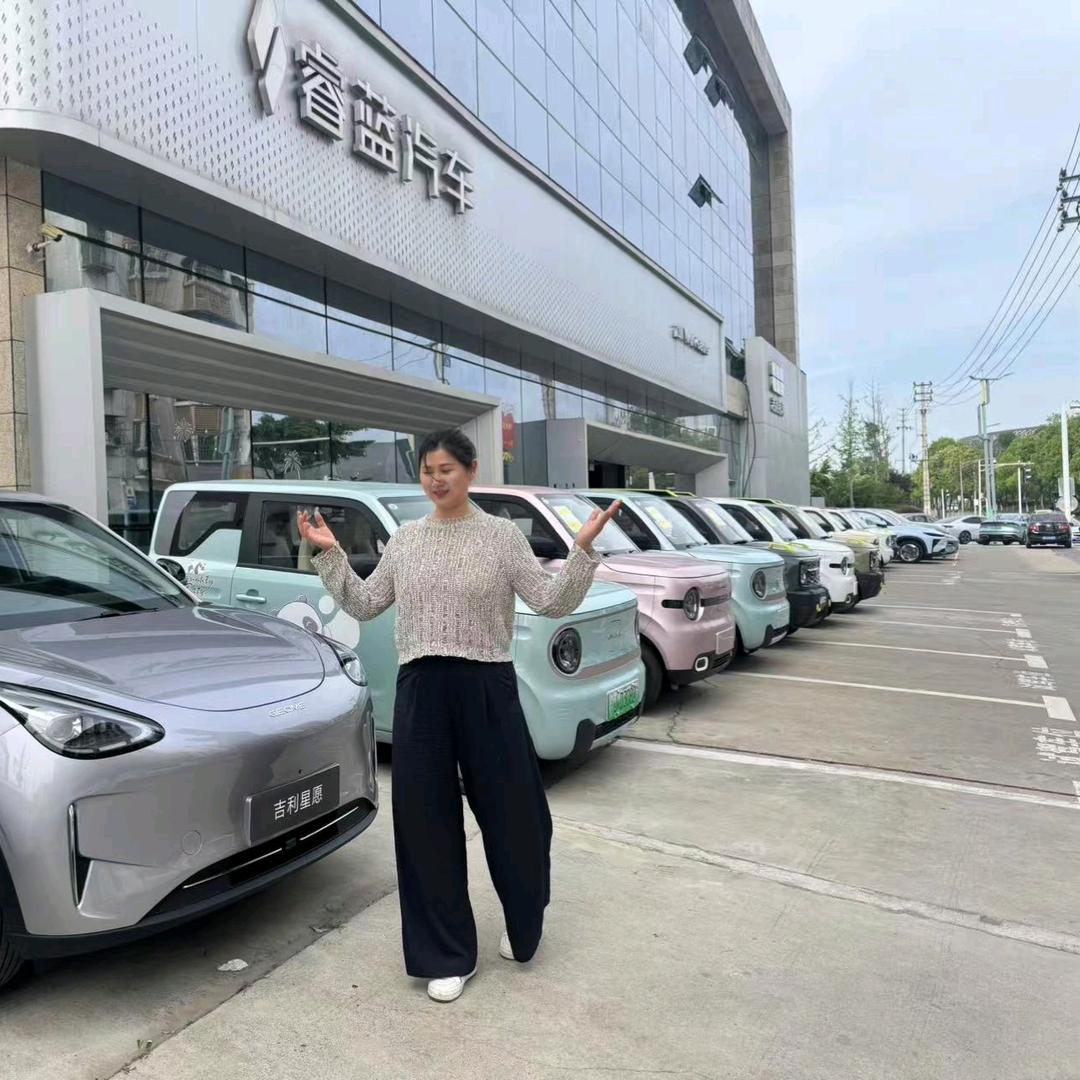 吉利新能源汽车—遂宁站