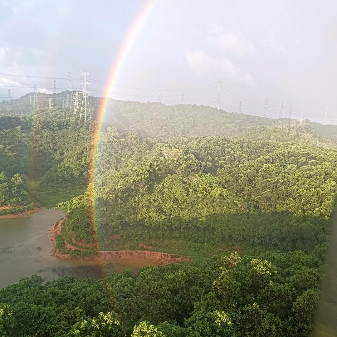 正员级