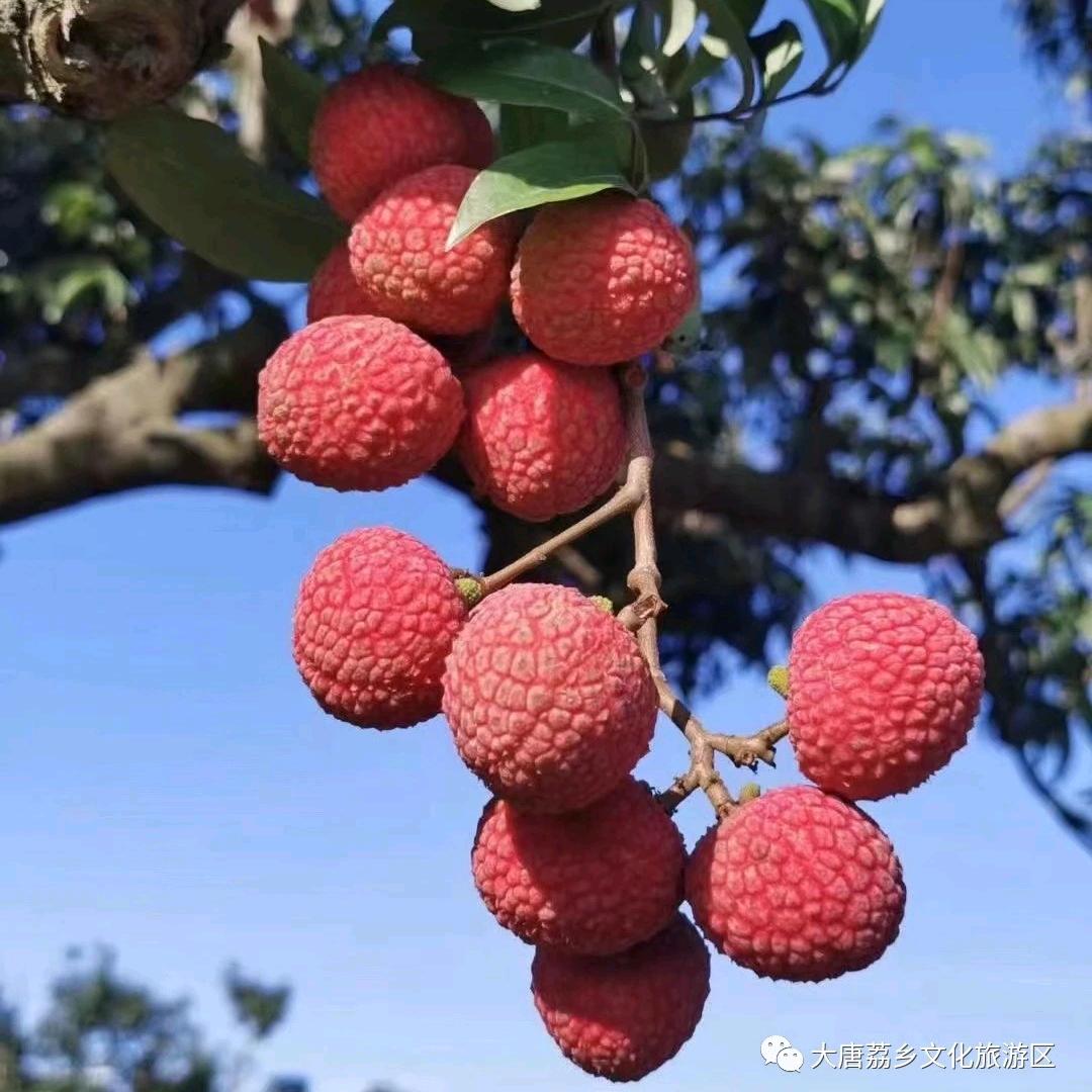 懵剩剩