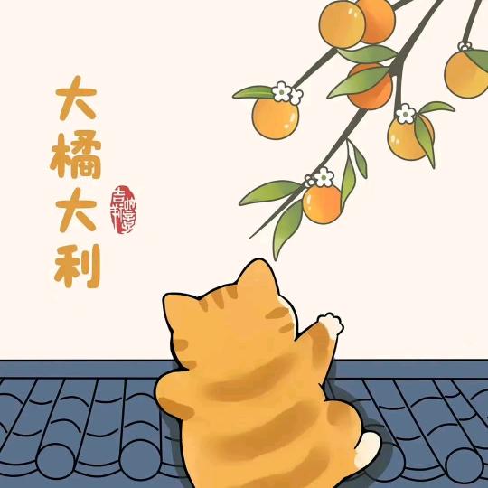 Shelley-wan丫头