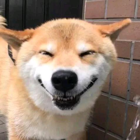 潜力股