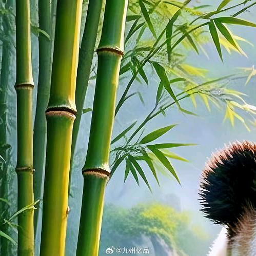 @ʕ•̫͡•ʔ❤ʕ•̫͡•ʔ