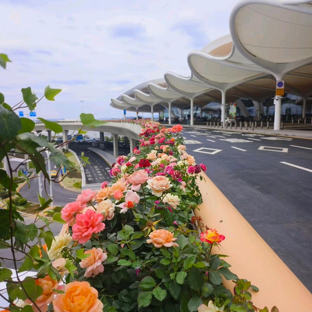 ୧⍤⃝既有脾气ල又很犟✮࿆