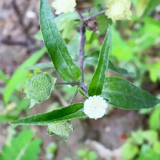 所有美好如期而至