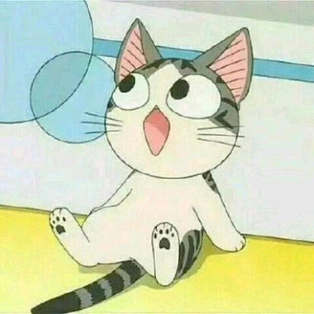 H仙人板板T