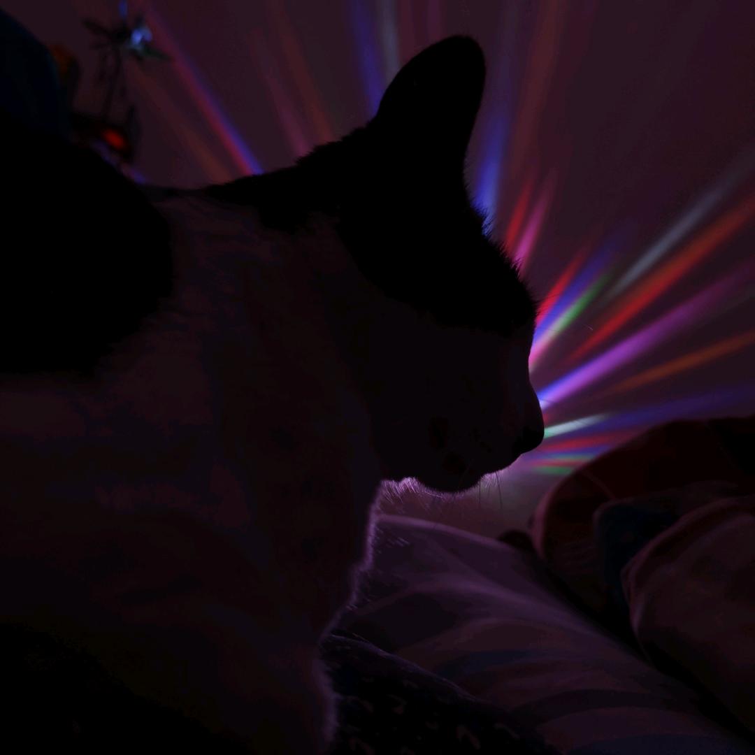 四年级开了智的红领巾