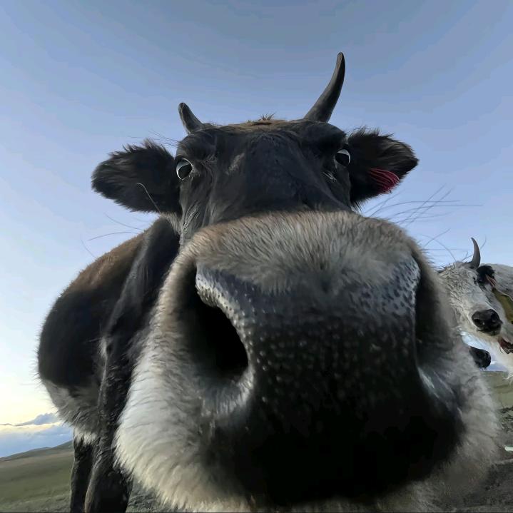 遇贵人日进斗金腰缠万贯