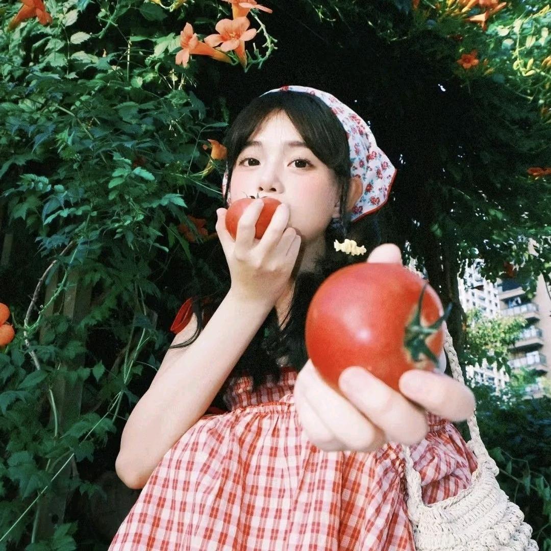 小霖教你种好菜