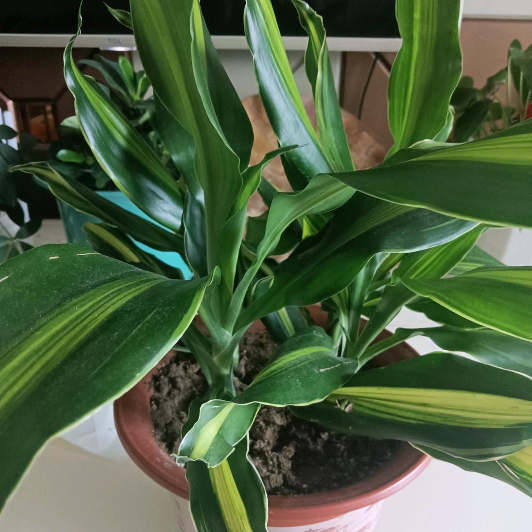 永恒