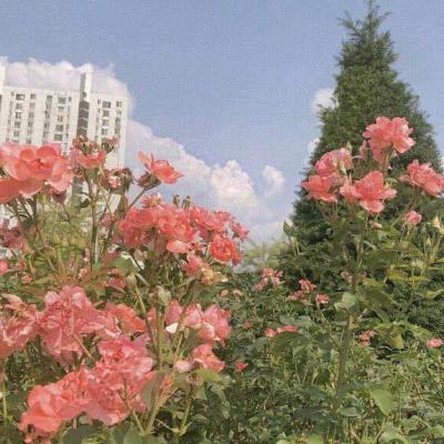 平安健康🙂