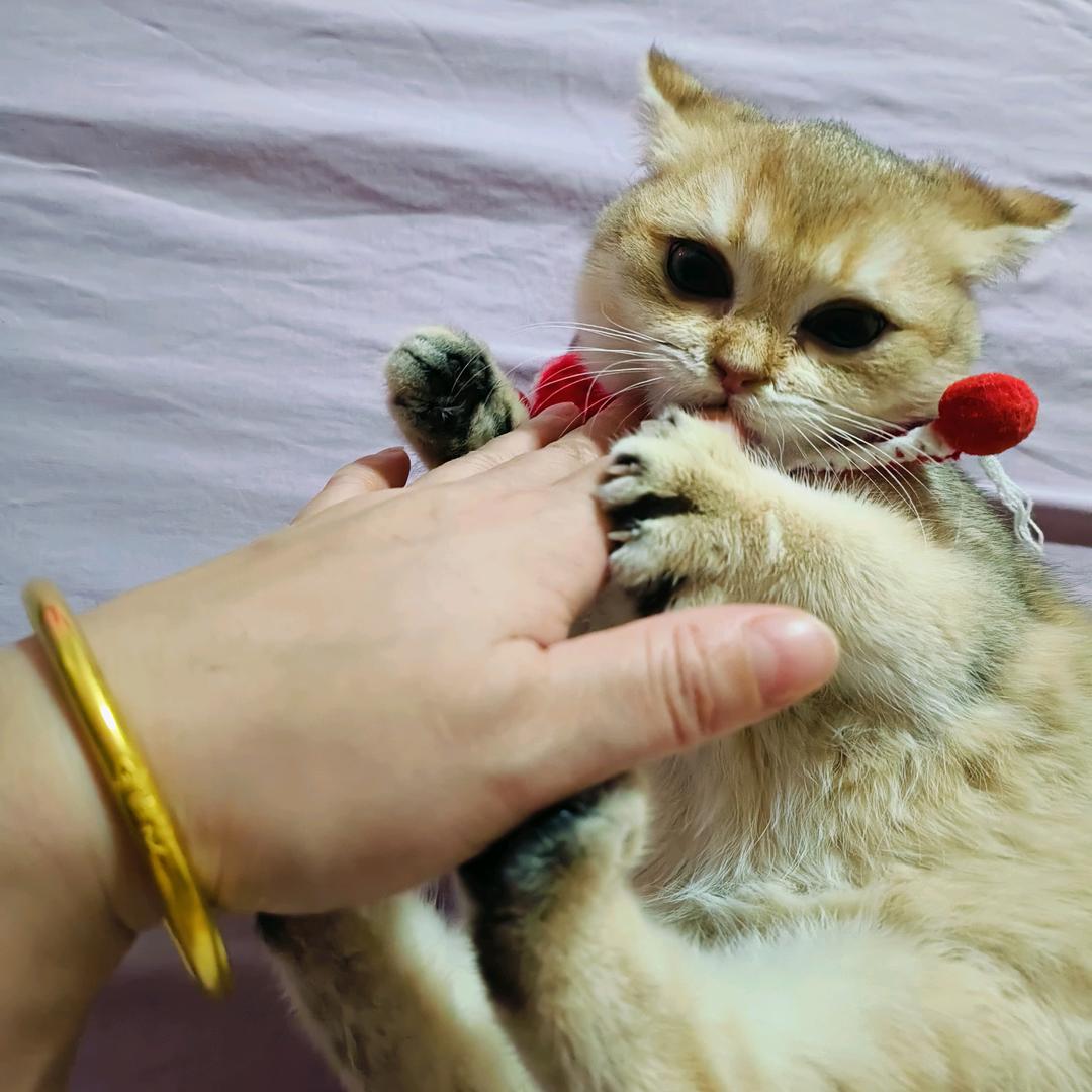 黄蓉推拿