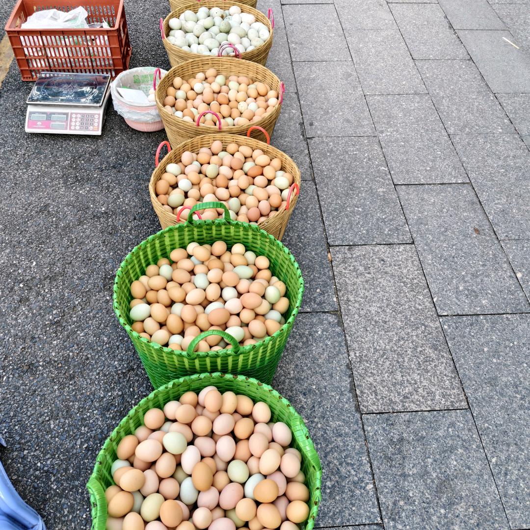 果园初生蛋孔姐