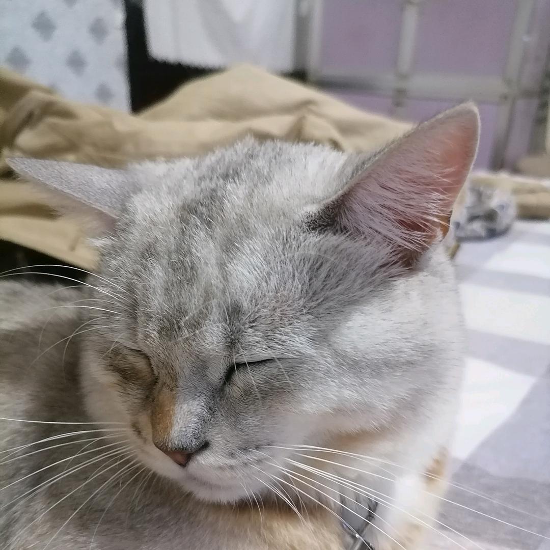 思钱想厚
