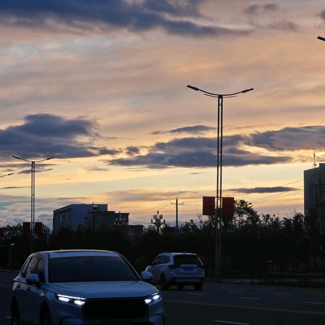 一根藤上七只猫