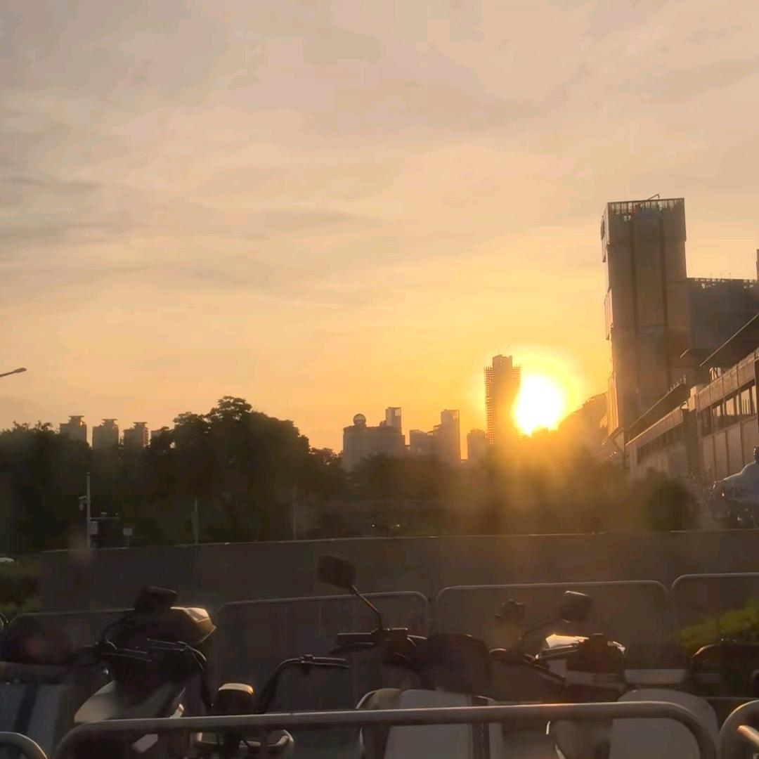 花开富贵nwn