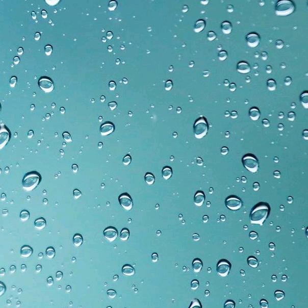 明明知道不可以。