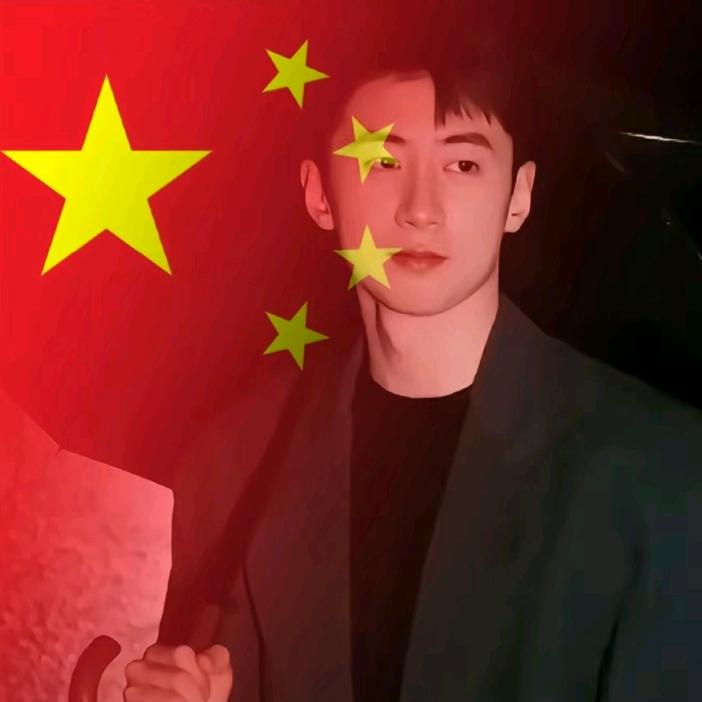 谨辰不谨慎♓️丶