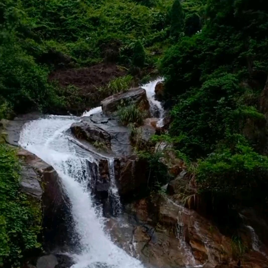 爱我就来