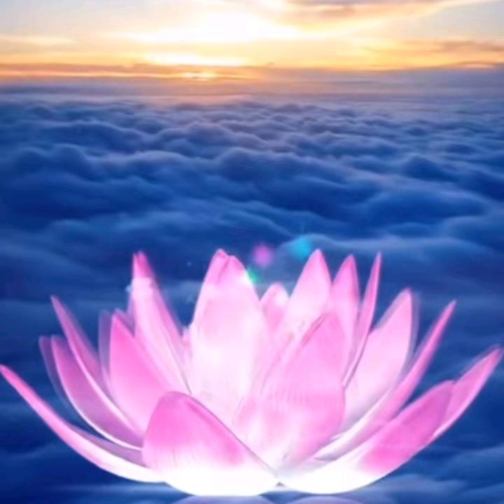 宗巴