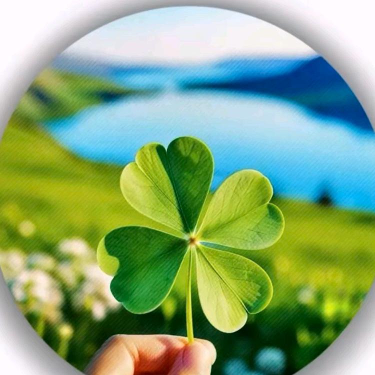 微笑吧趁现在还有牙齿