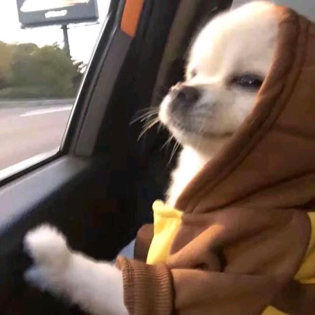 九旬老头夜闯寡妇村