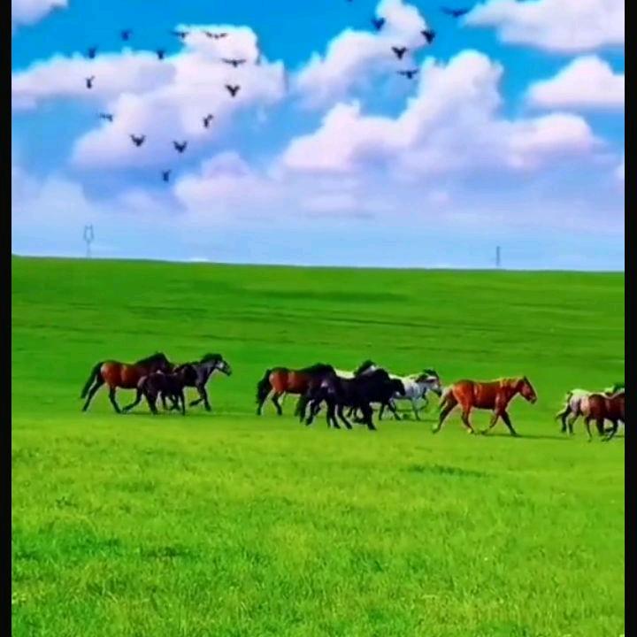 开心好物（10：10开播）