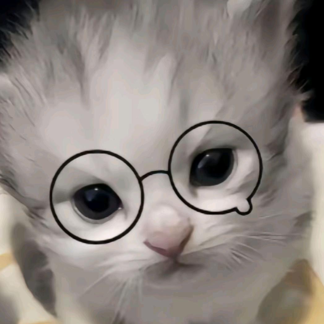碗🌝