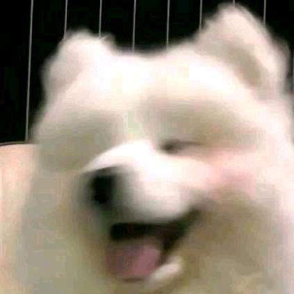 物似主人形