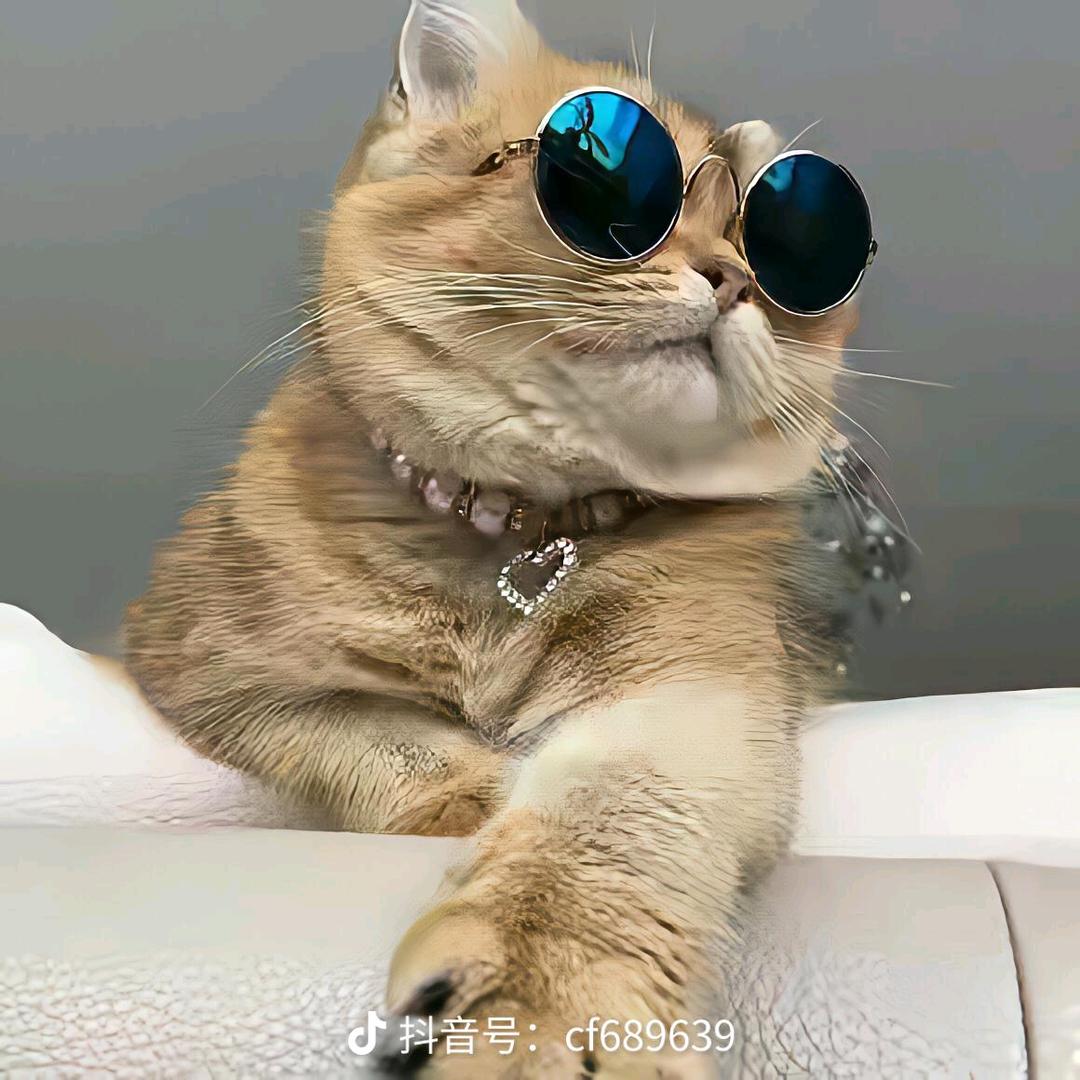 情非得已
