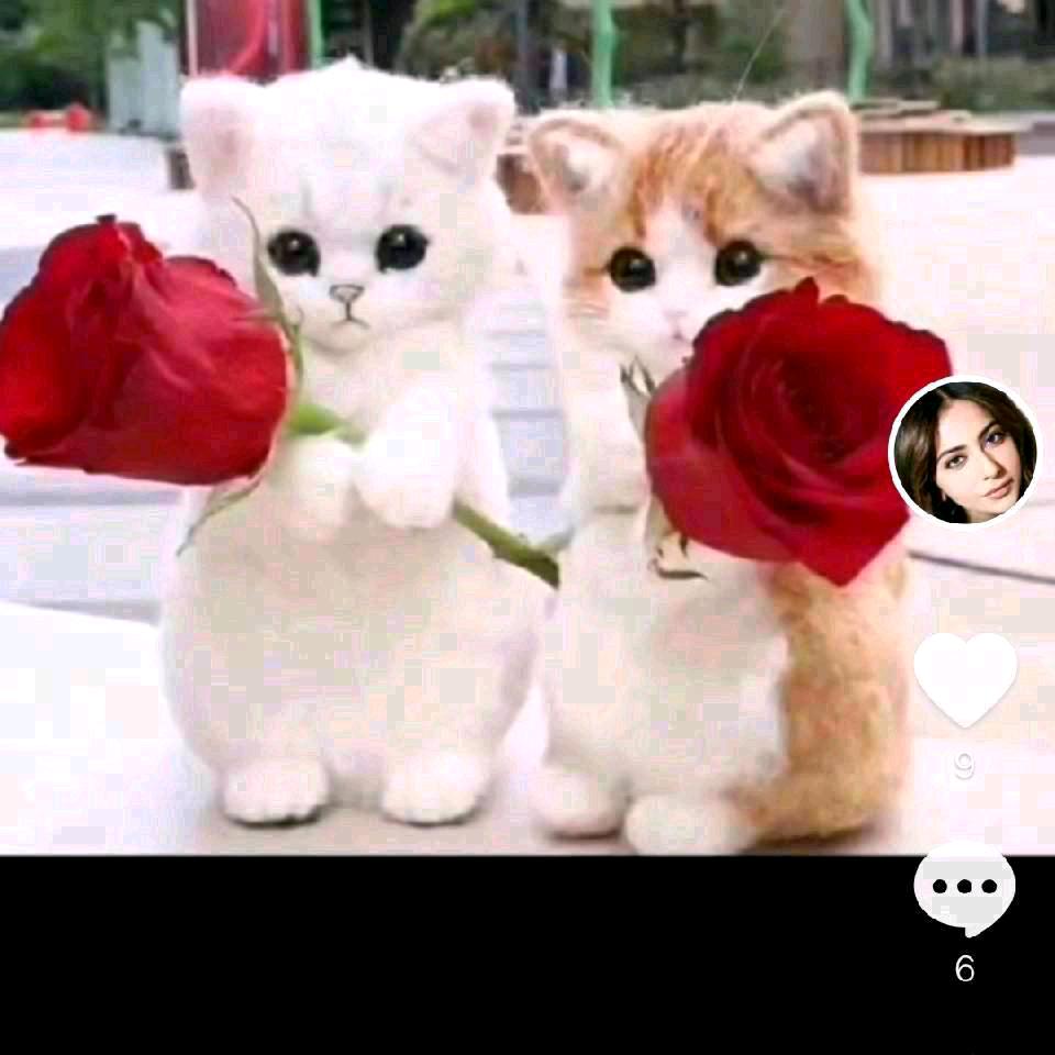 🌺幸福 👩‍👦‍👦🌺