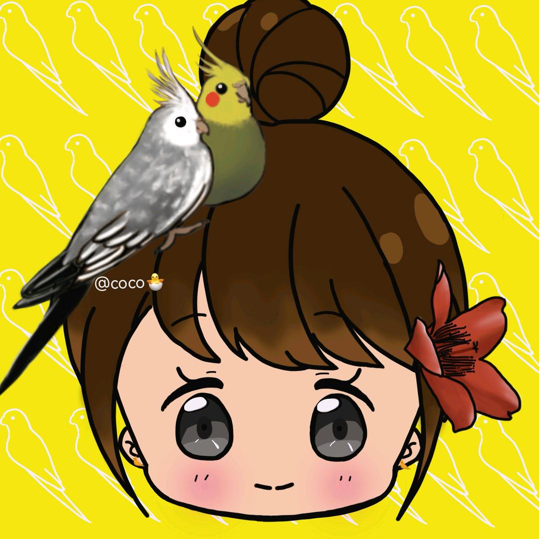 coco🐣