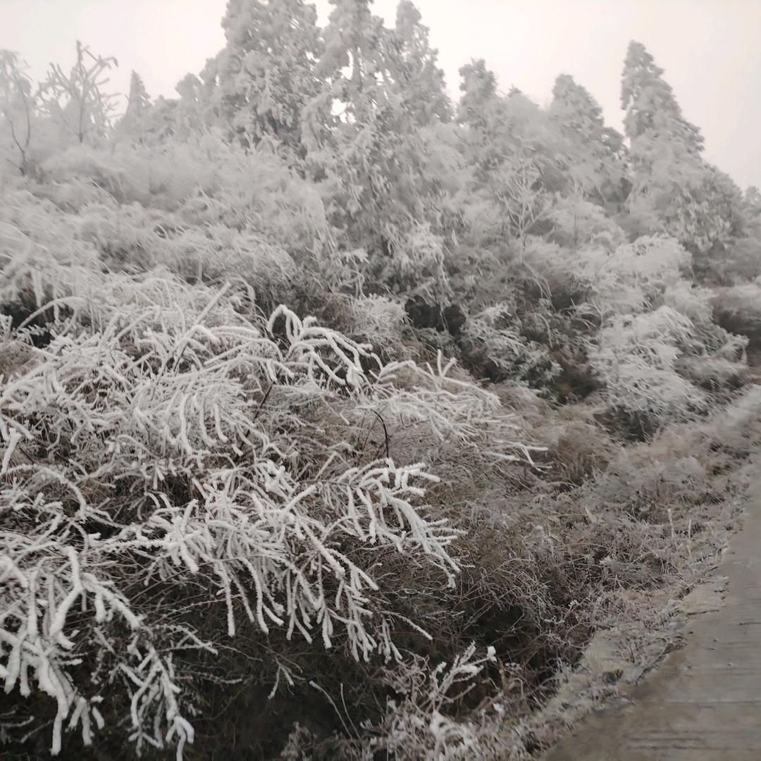 只看现在
