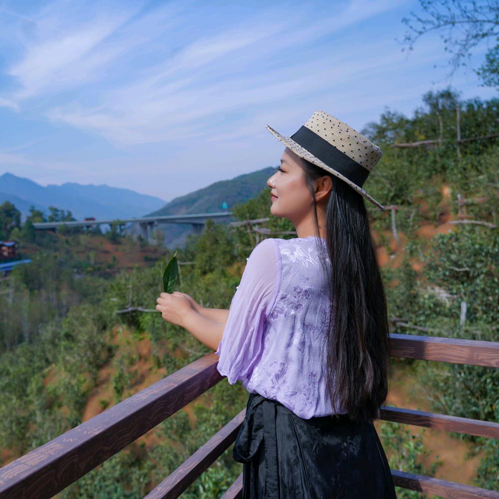 桂院流香
