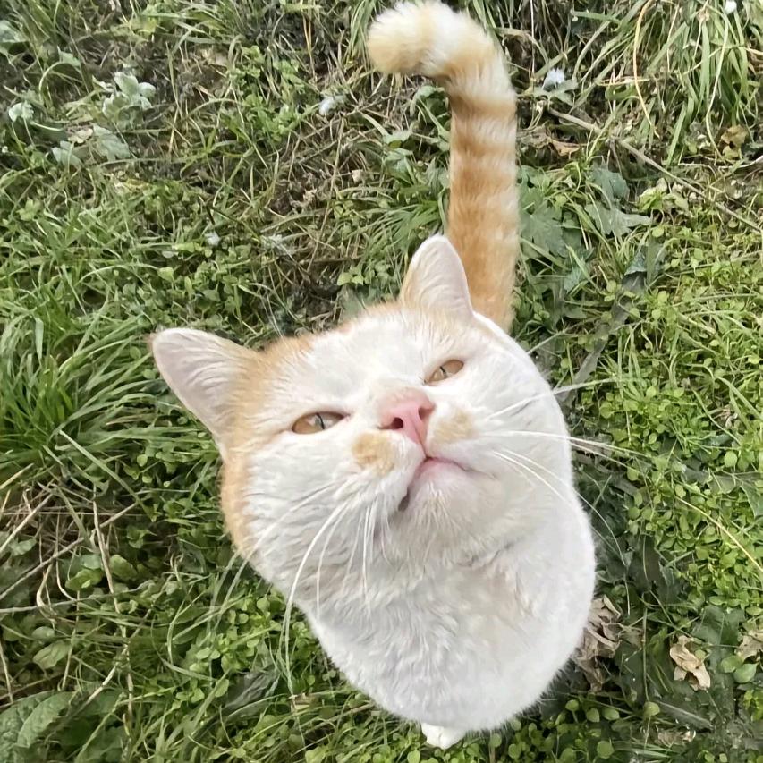 阜阳荣耀宝龙广场-高高