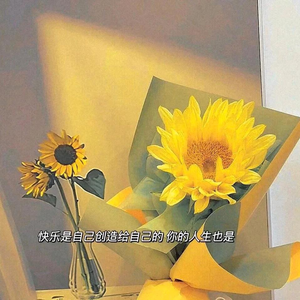 六妹零食宝盒
