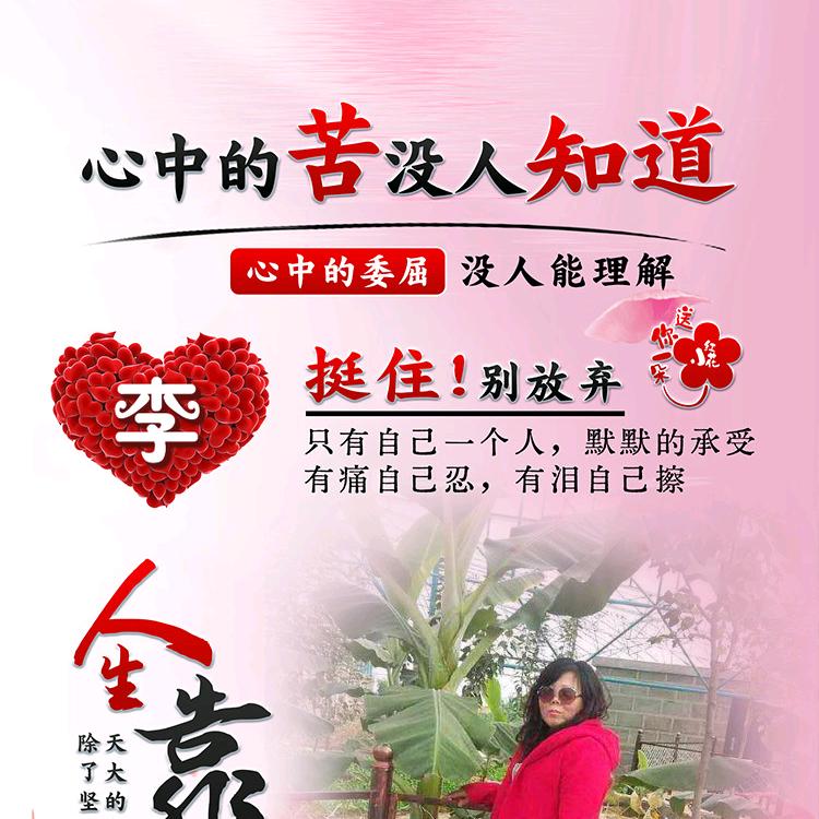 @风雨无阻@