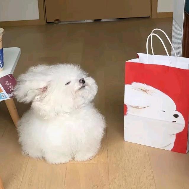 宫文卓