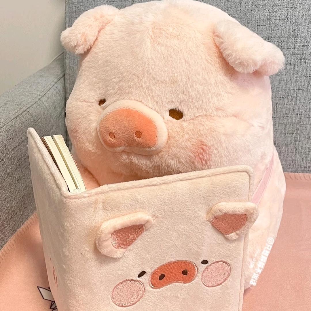 备用🐷(数码小店