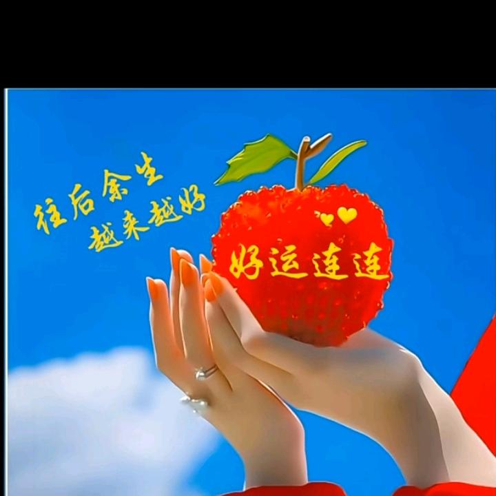 带你晒太阳❤ 好物在橱窗