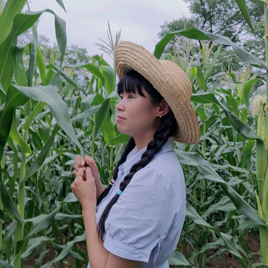 小英子记