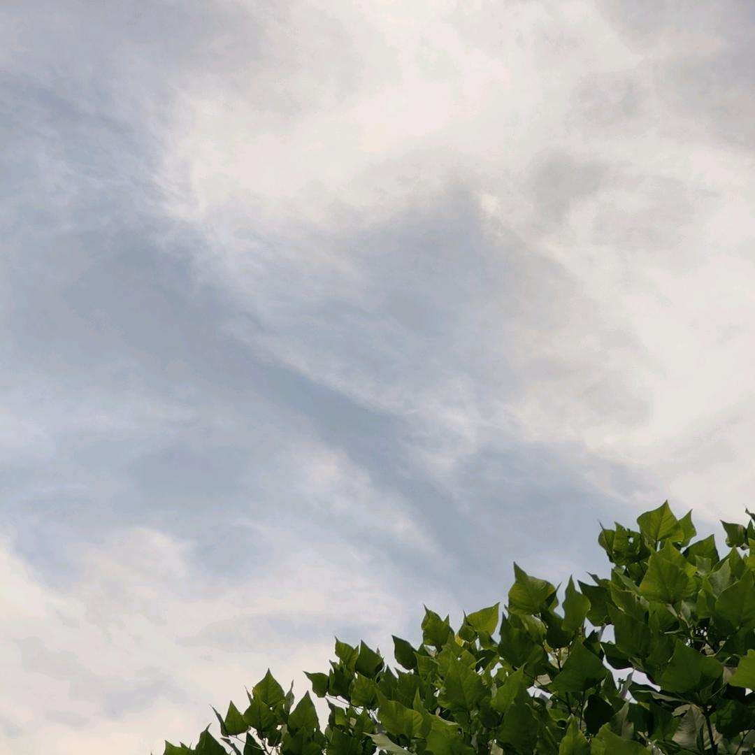 木子李刷抖音