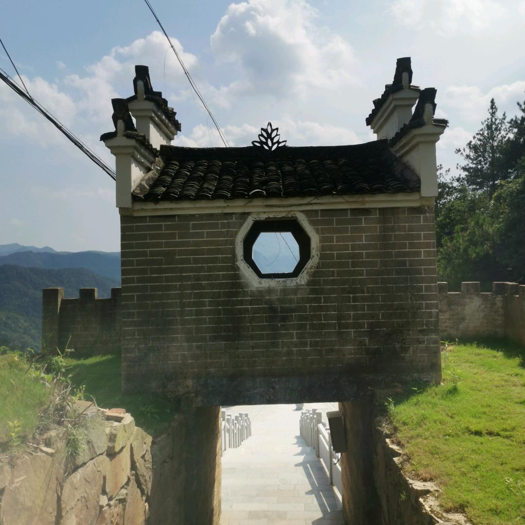 桐城市新启航高考志愿填报