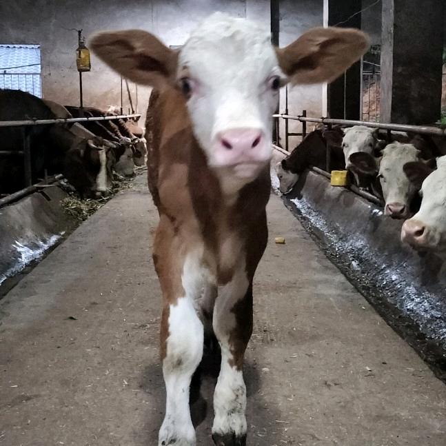 大醉一场～四大皆空