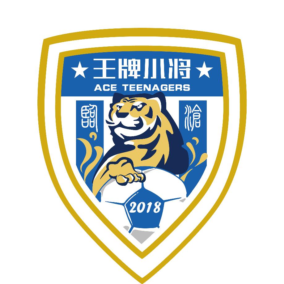 临沧王牌小将足球训练营