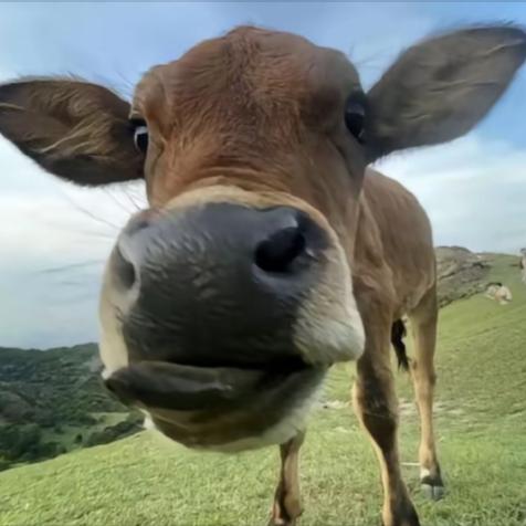 桥边