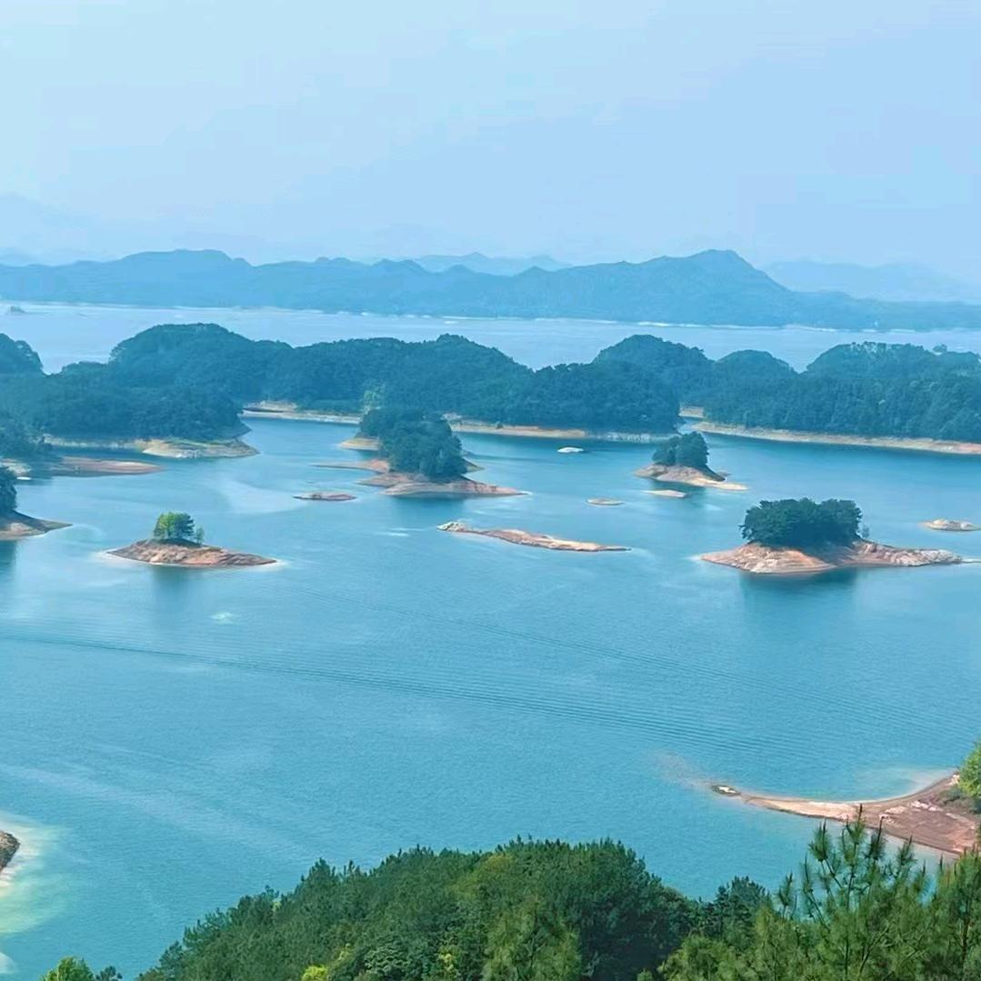 甜甜君